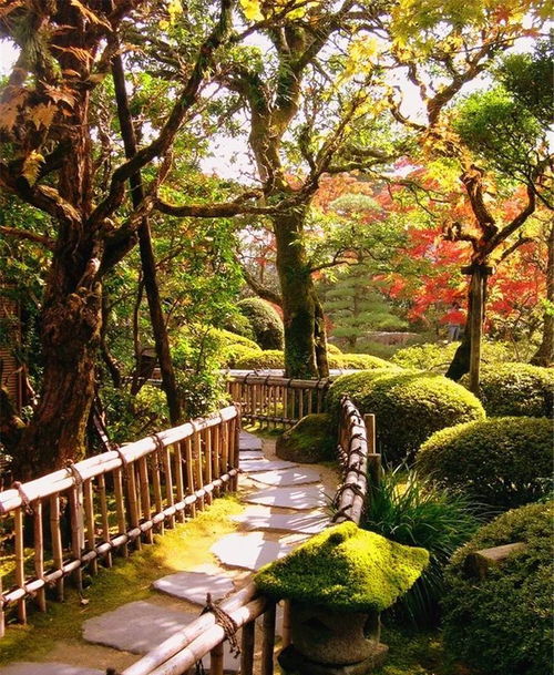 植物季相空間營造,絕美