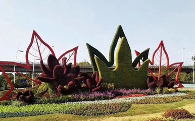 秀洲仿真綠雕五色草綠雕植物綠雕價(jià)格優(yōu)之林景觀