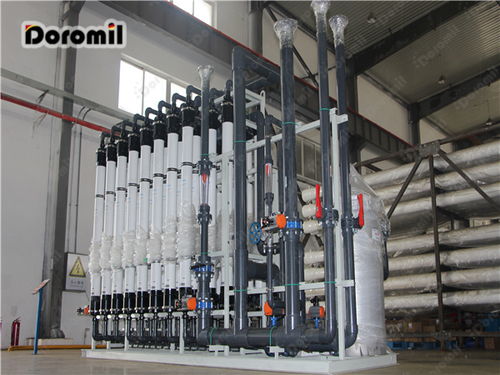 天然引領(lǐng)轉(zhuǎn)型 普通工業(yè)食品邁向健康化發(fā)展的東莞軟件開(kāi)發(fā)新機(jī)遇